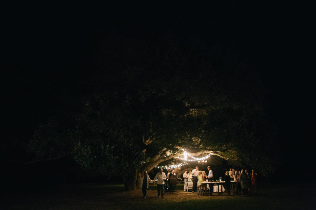 Outdoor Dinner